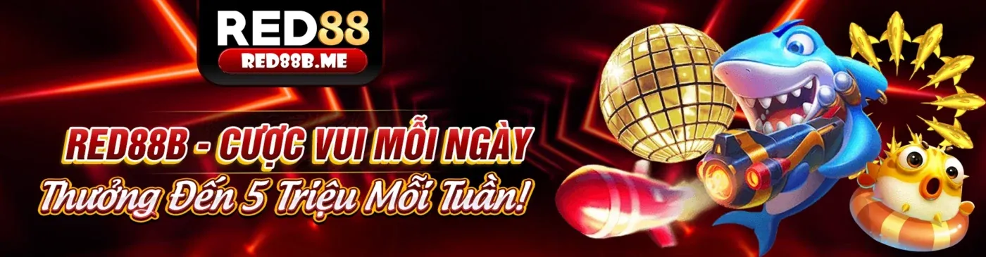 Hình ảnh giới thiệu 90ok Nhà Cái, nền tảng cá cược trực tuyến uy tín và hiện đại